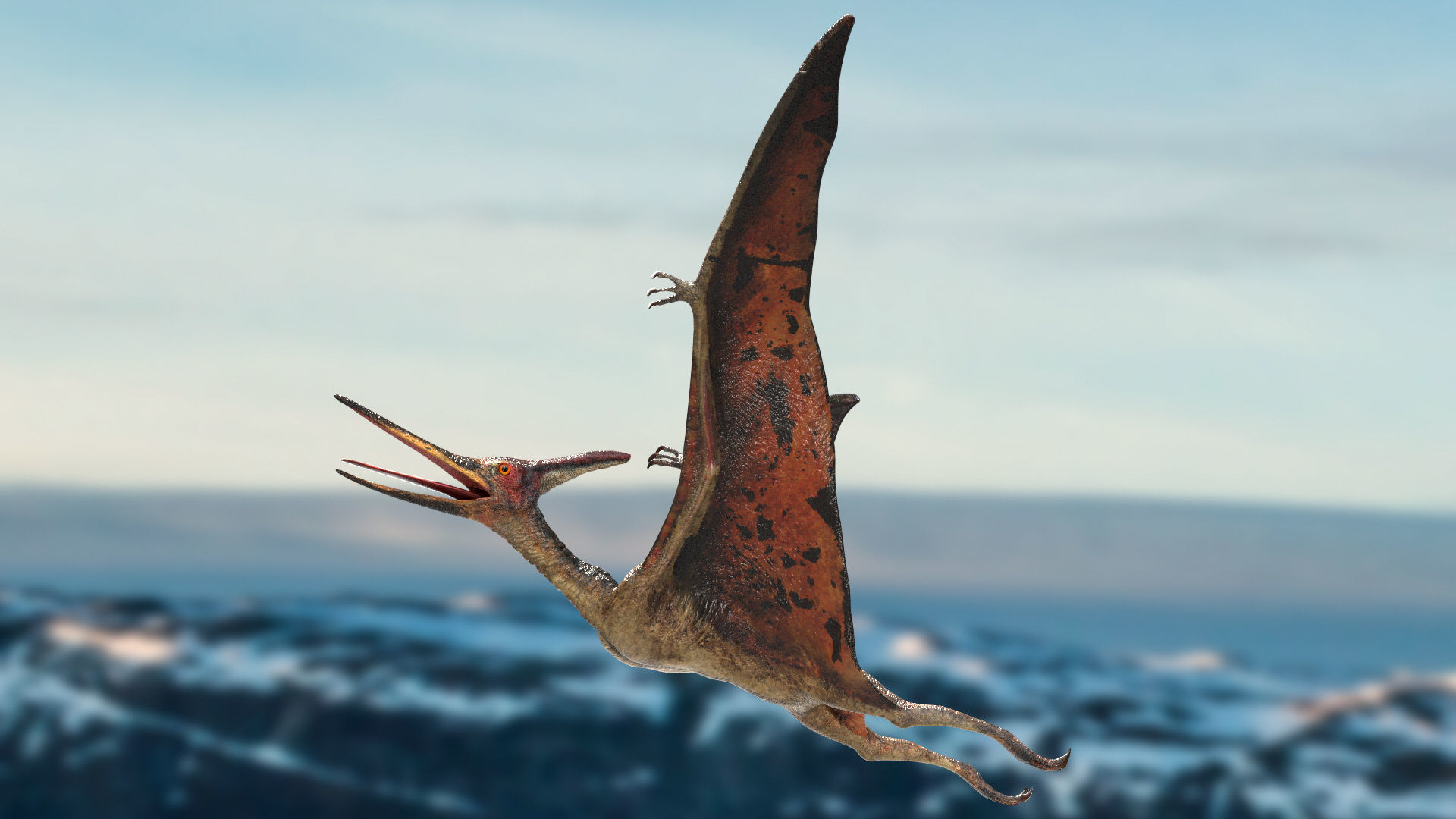 Pteranodon Rigged Animated 3D model Low-poly 3D model_10