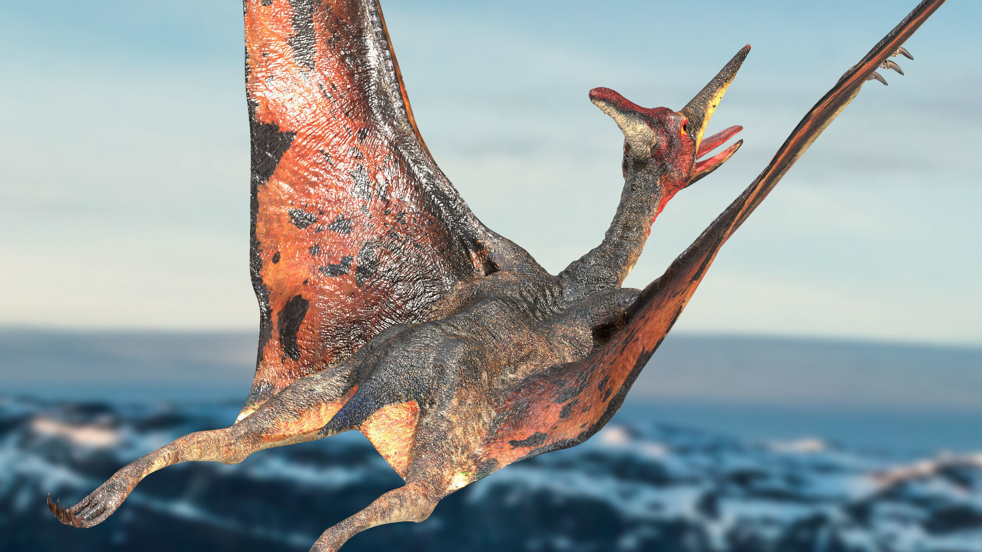 Pteranodon Rigged Animated 3D model Low-poly 3D model_8