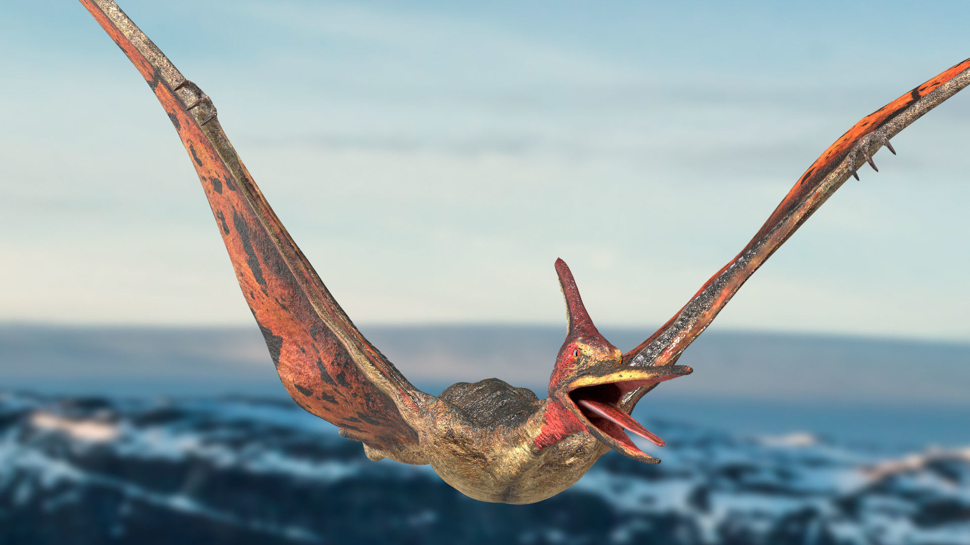 Pteranodon Rigged Animated 3D model Low-poly 3D model_5