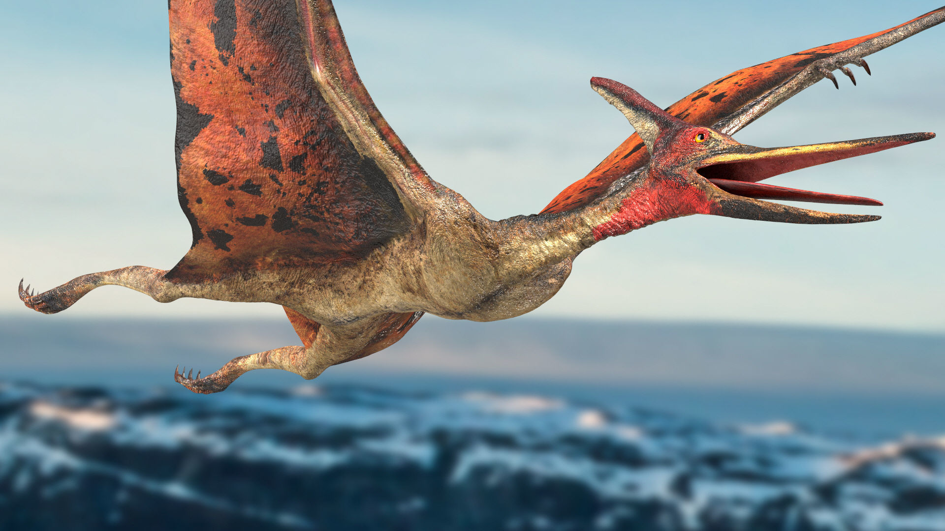 Pteranodon Rigged Animated 3D model Low-poly 3D model_9