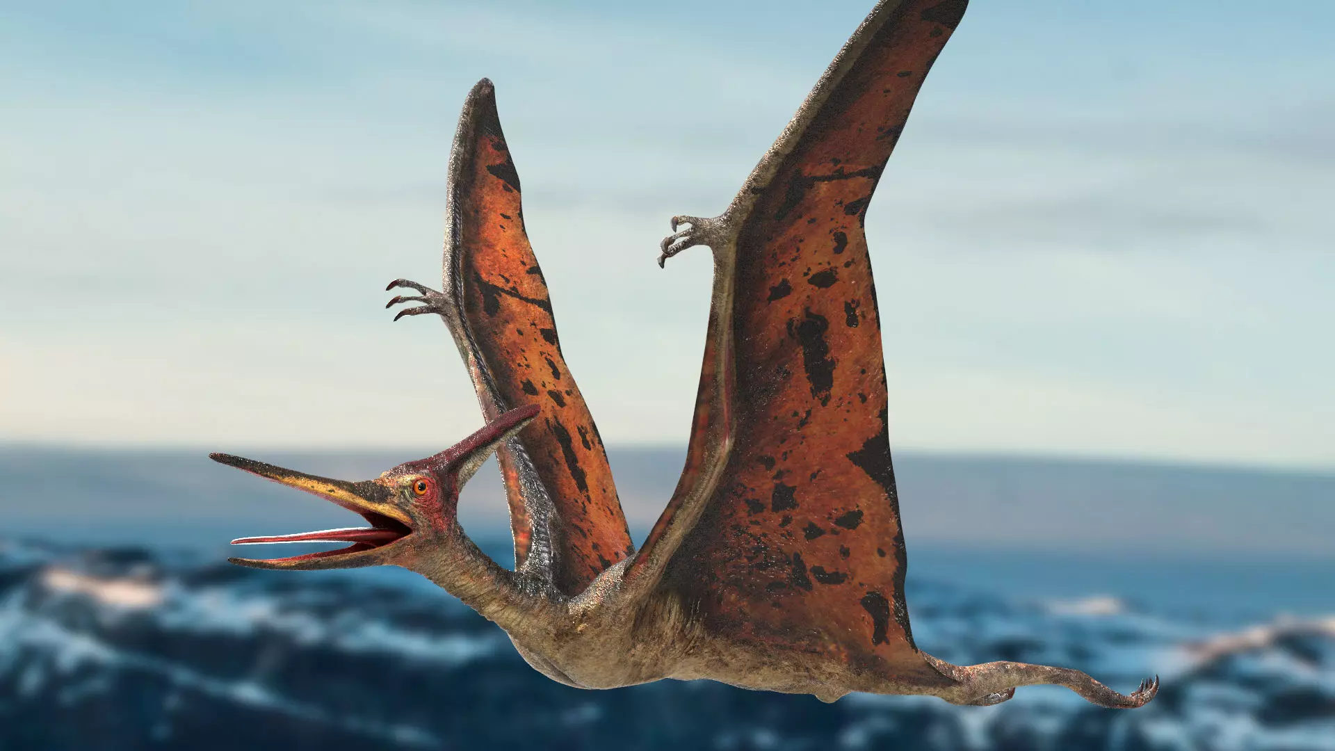 Pteranodon Rigged Animated 3D model Low-poly 3D model_0