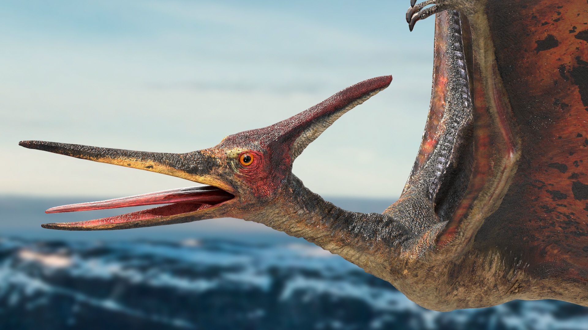 Pteranodon Rigged Animated 3D model Low-poly 3D model_7