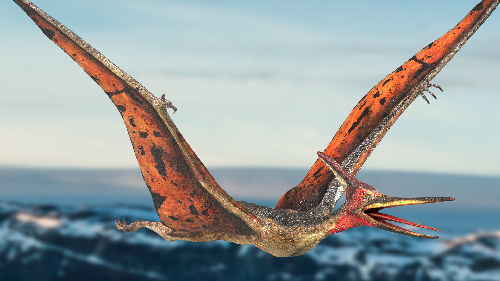 Pteranodon Rigged Animated 3D model Low-poly 3D model_3