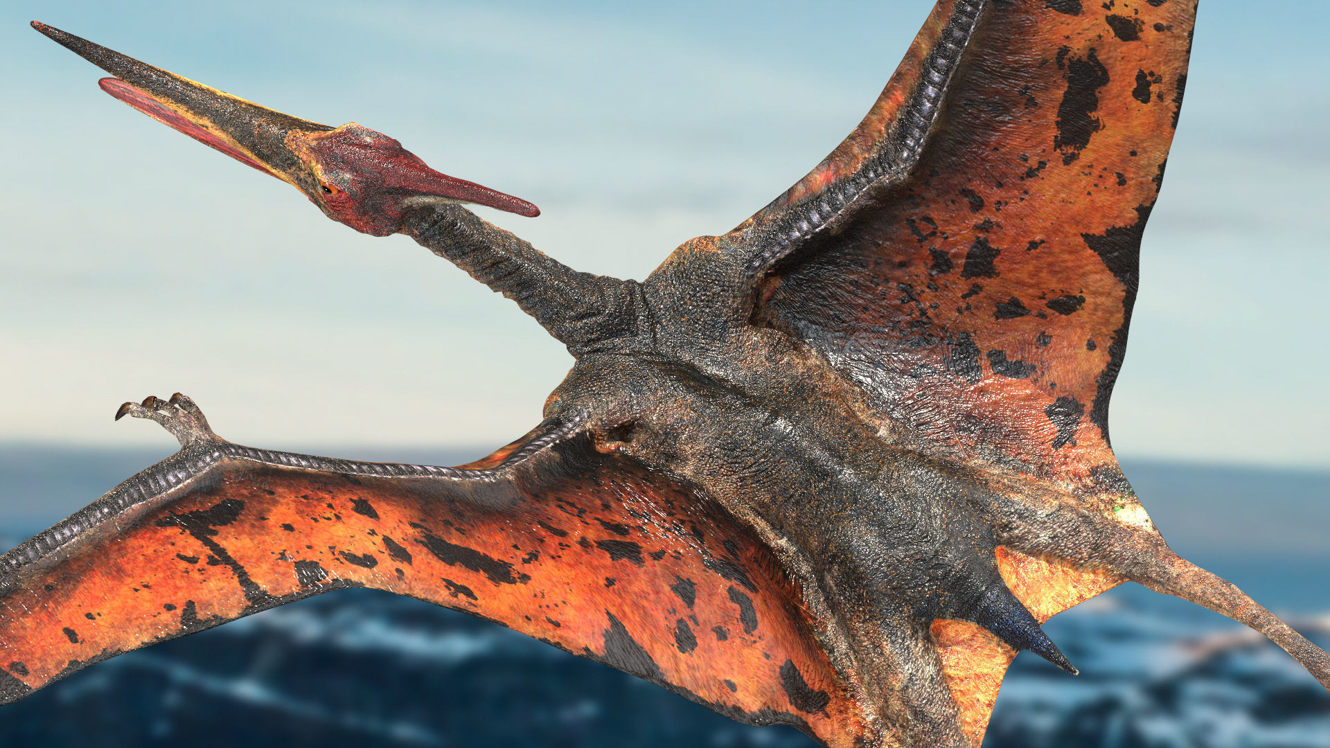 Pteranodon Rigged Animated 3D model Low-poly 3D model_13