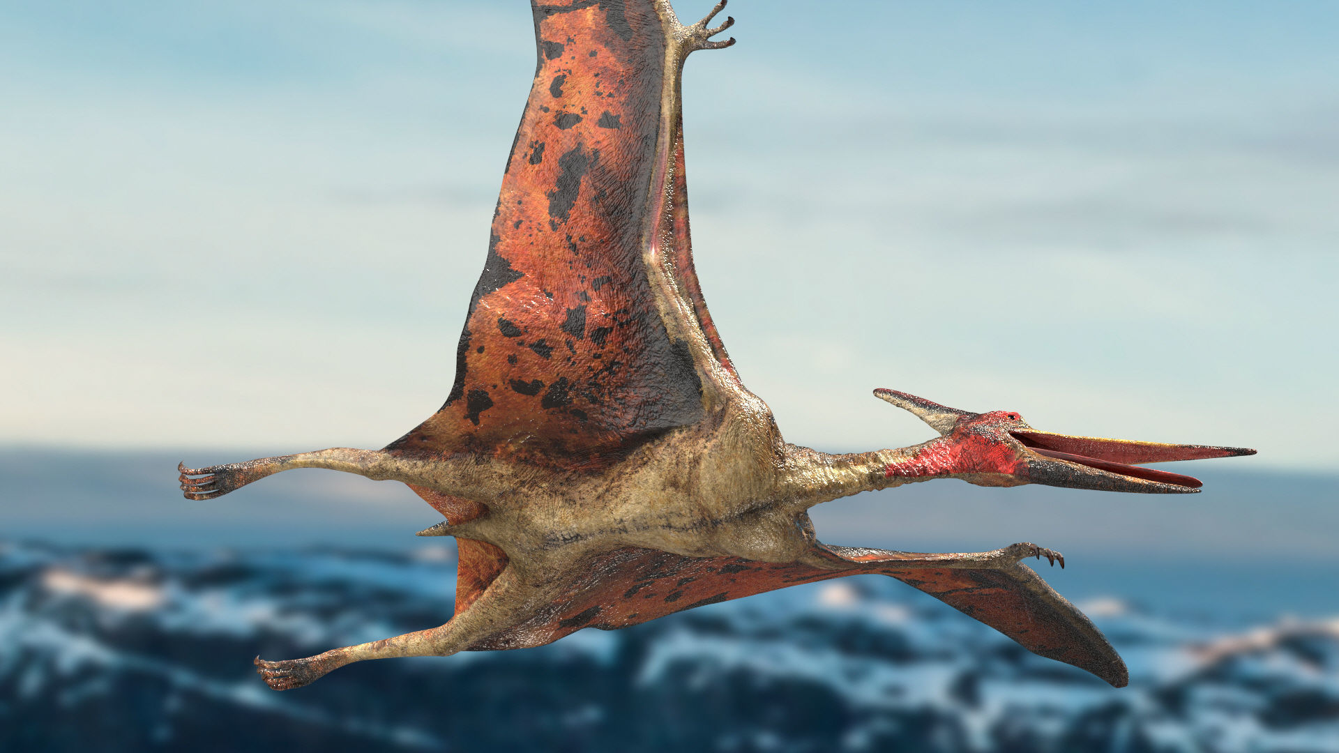 Pteranodon Rigged Animated 3D model Low-poly 3D model_4