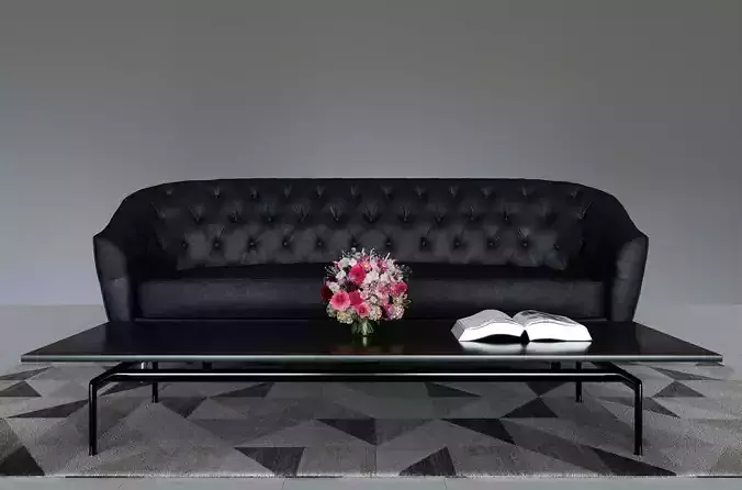 Sofa-002 leather sofa and coffee table