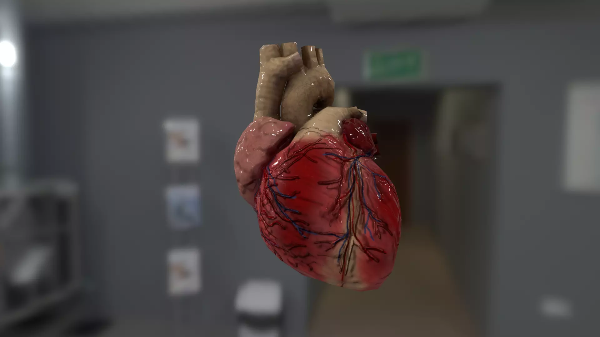 Cardiovascular for AR VR model Low-poly 3D model_0
