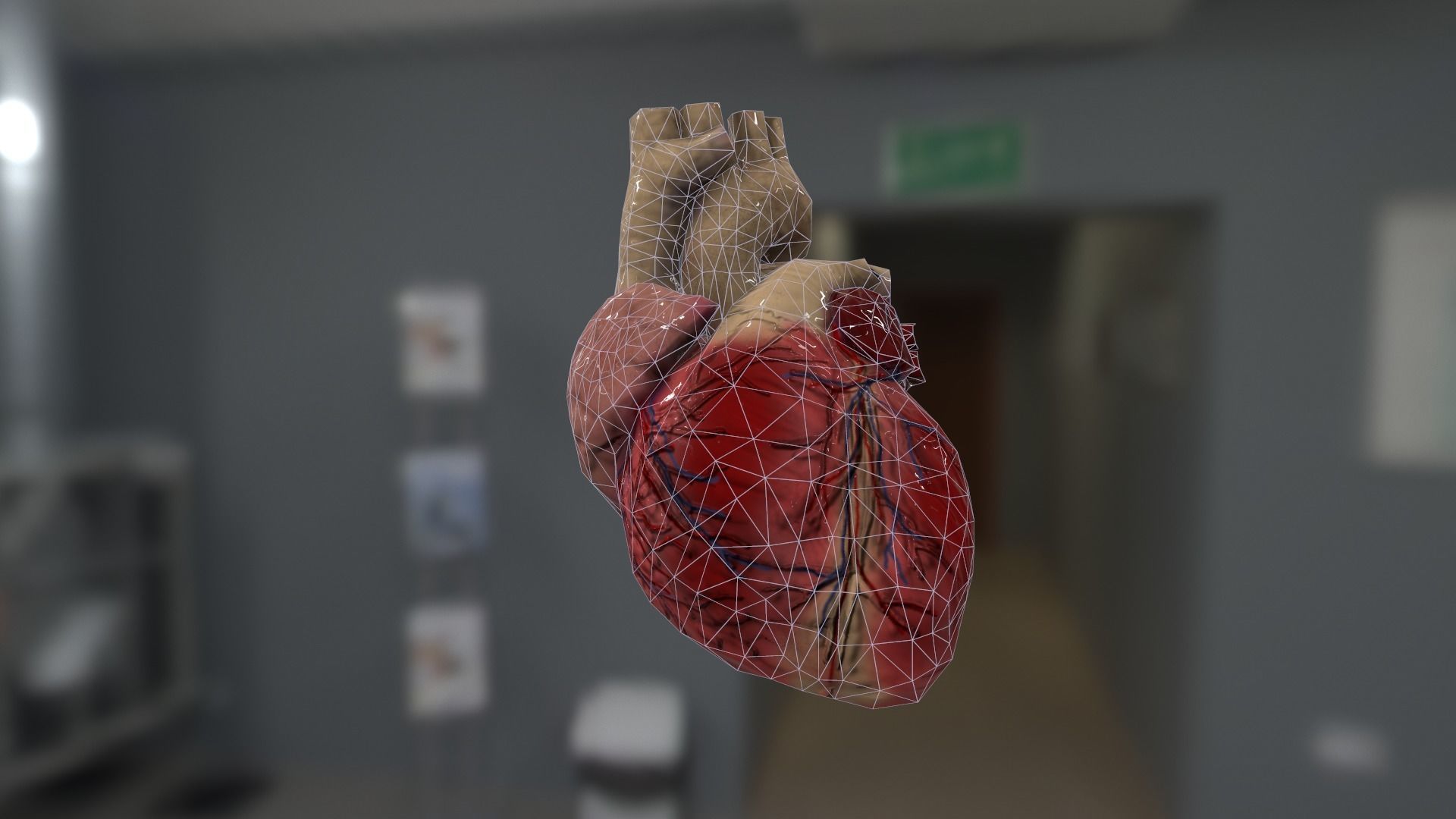 Cardiovascular for AR VR model Low-poly 3D model_5