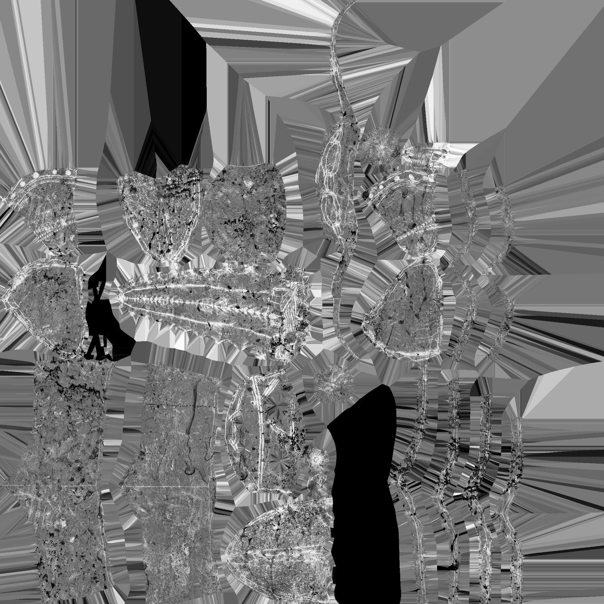 Demon low poly and printable 3D print model_17