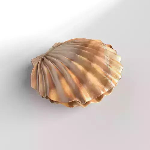 Shell v1 002