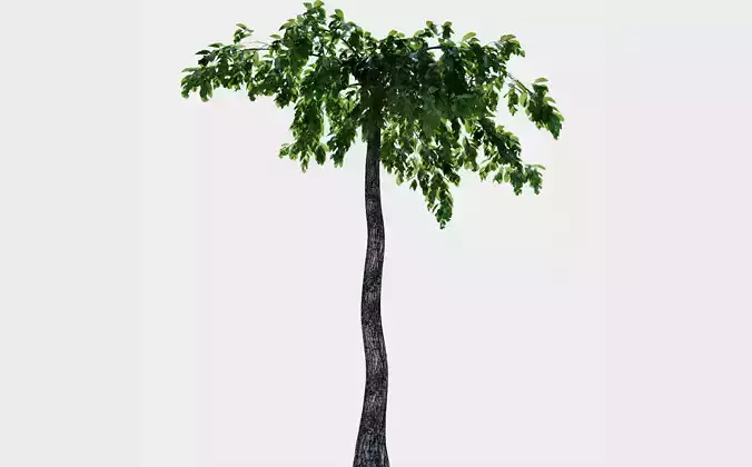 Landscape tree 3D model