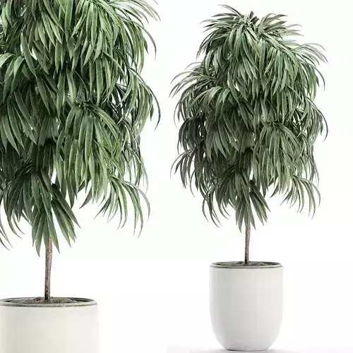 Decorative tree in a white flowerpot for interior design 501