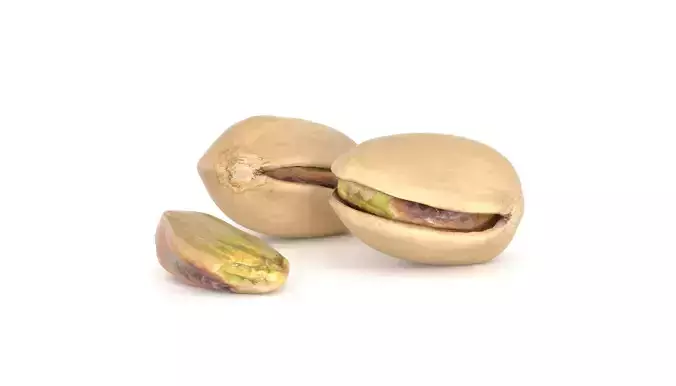 Pistache nut Photoscan 3D Model  Low-poly 3D model