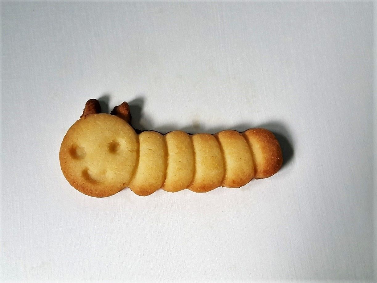 Worm cookie cutter 3D print model_1