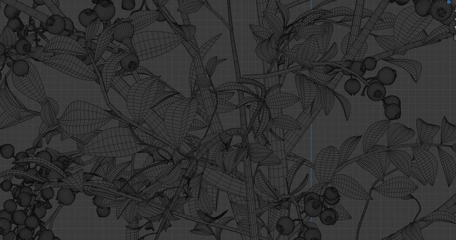 blue berry bushes 3D model_15