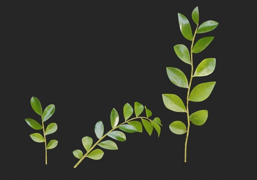 blue berry bushes component 3D model_6