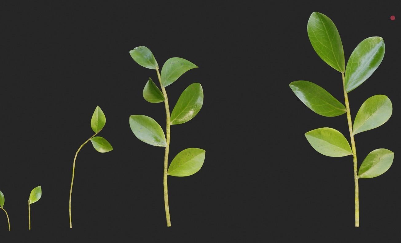 blue berry bushes component 3D model_5