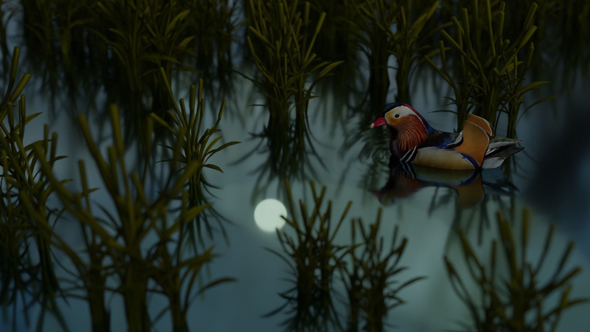 floating duck Low-poly 3D model_10