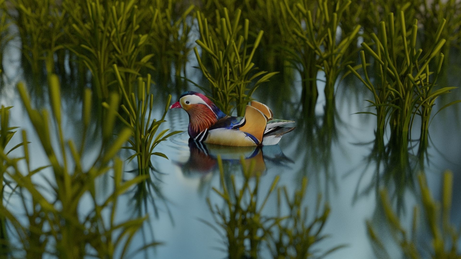 floating duck Low-poly 3D model_18