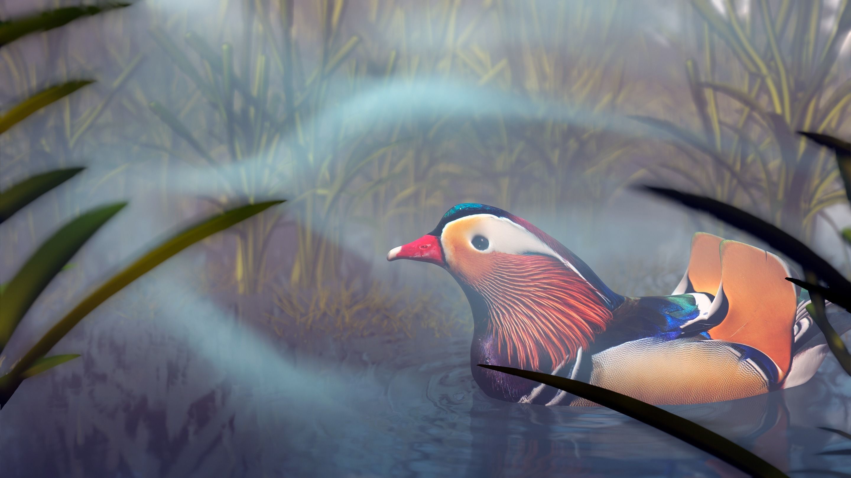 floating duck Low-poly 3D model_17