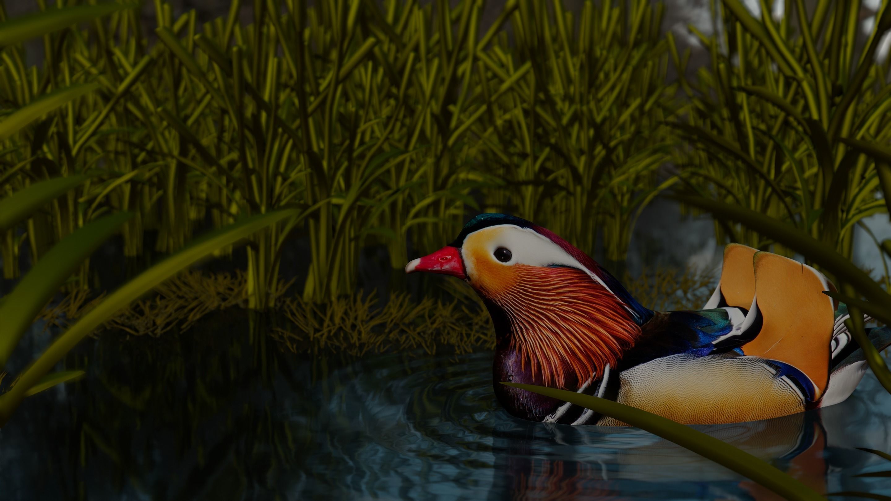 floating duck Low-poly 3D model_20