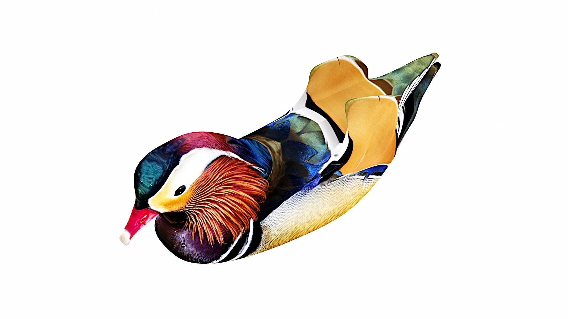 floating duck Low-poly 3D model_4