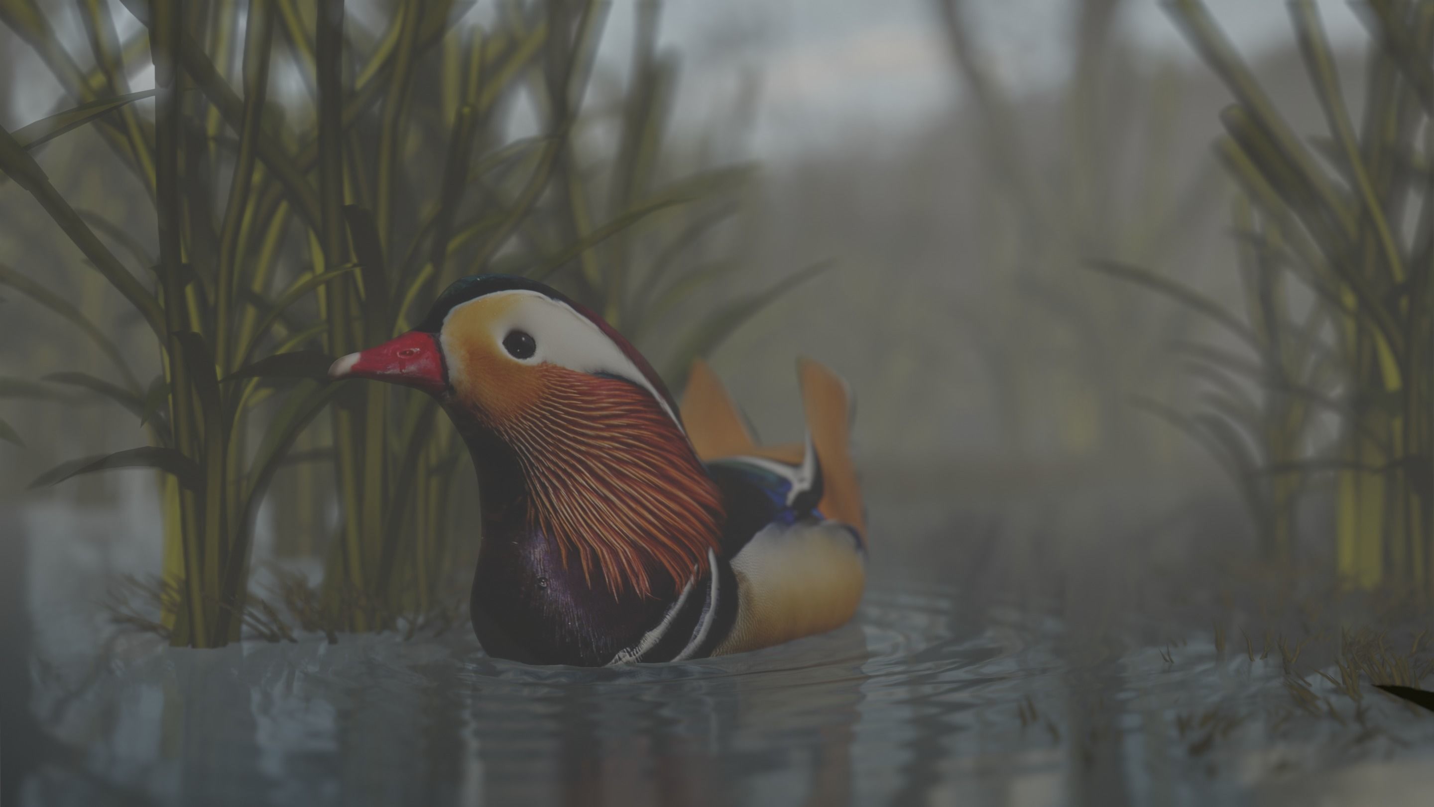 floating duck Low-poly 3D model_14