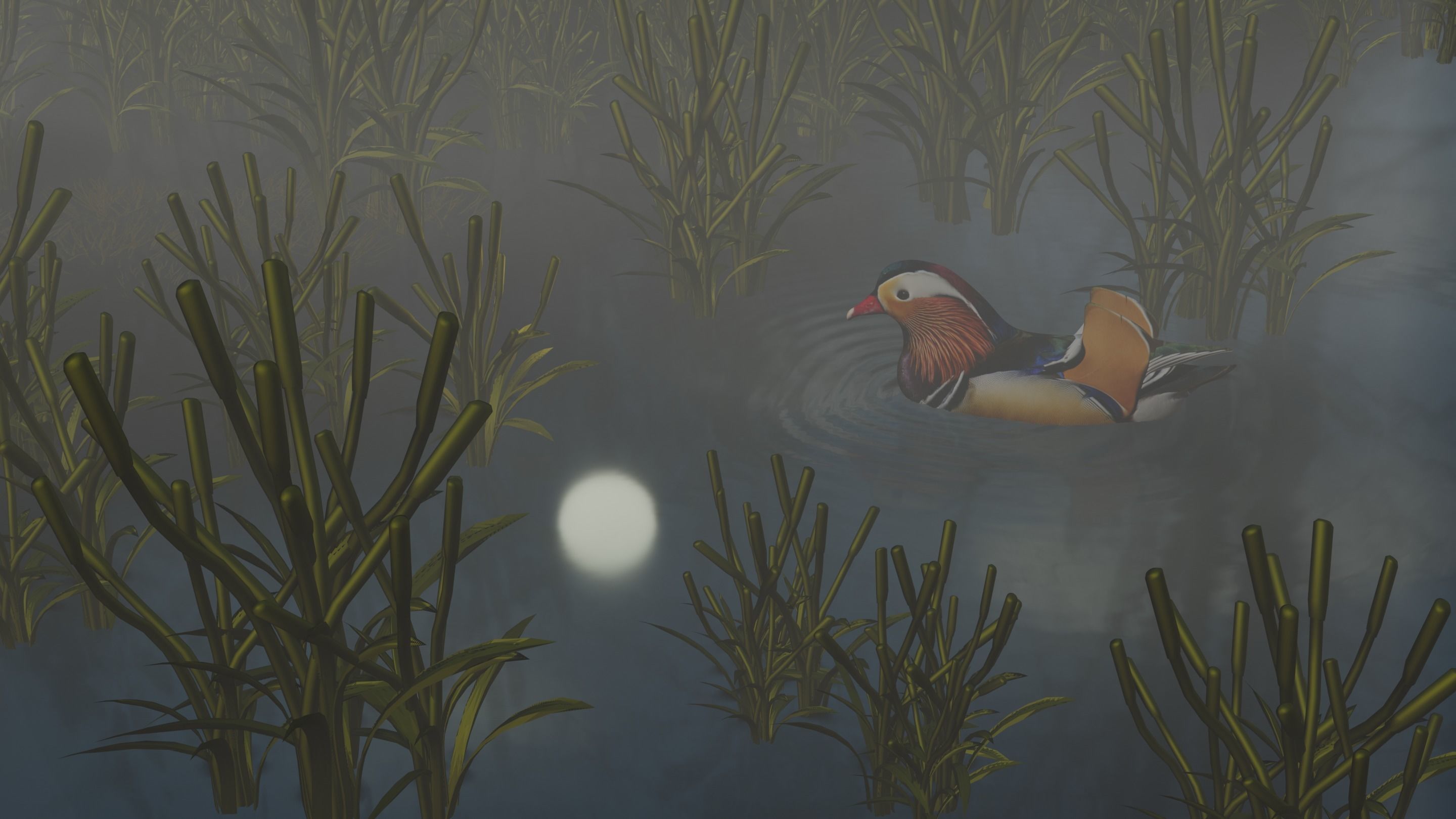 floating duck Low-poly 3D model_16
