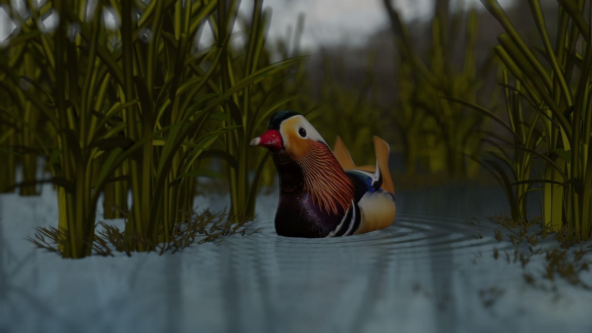 floating duck Low-poly 3D model_7