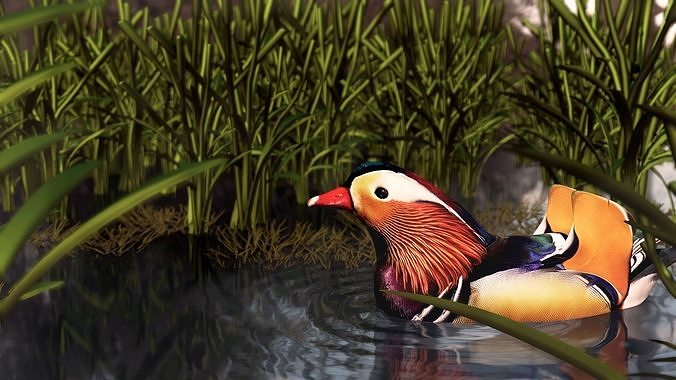 floating duck Low-poly 3D model