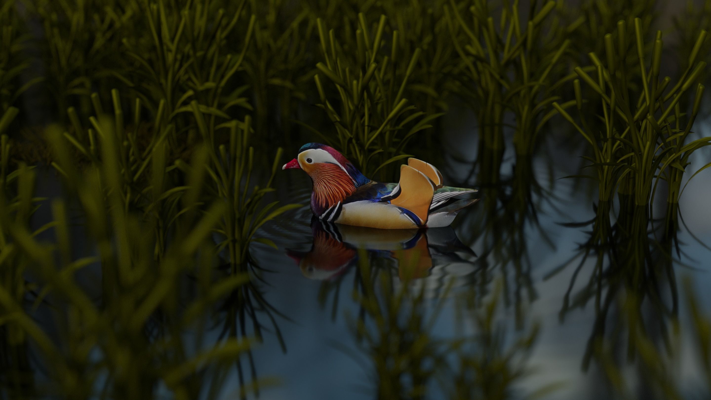 floating duck Low-poly 3D model_13