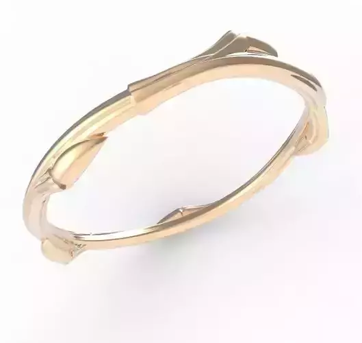 witchs ring 3D print model