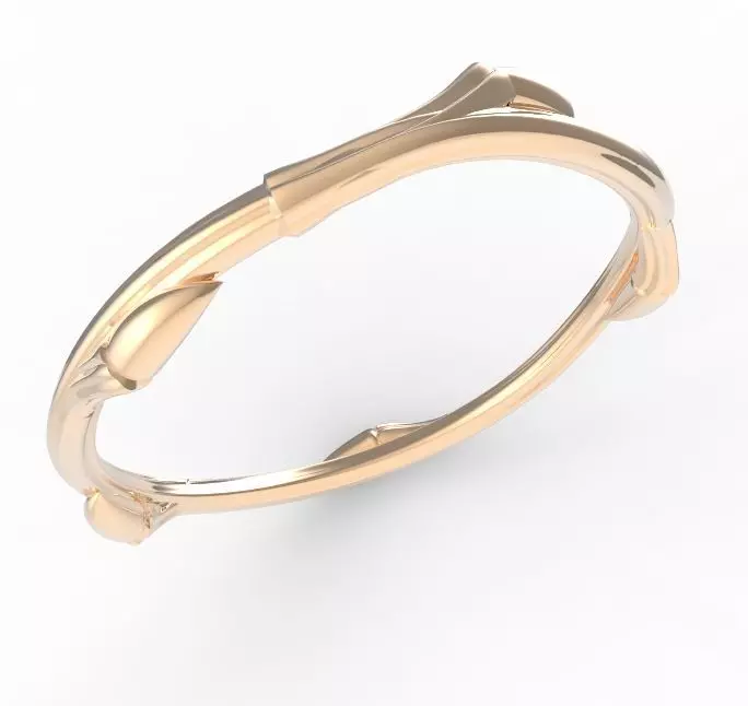 witchs ring 3D print model_0