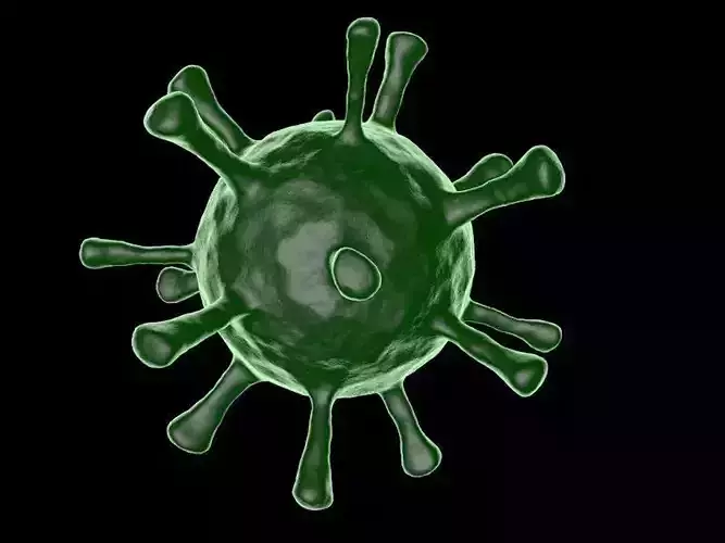COVID-19 Coronavirus