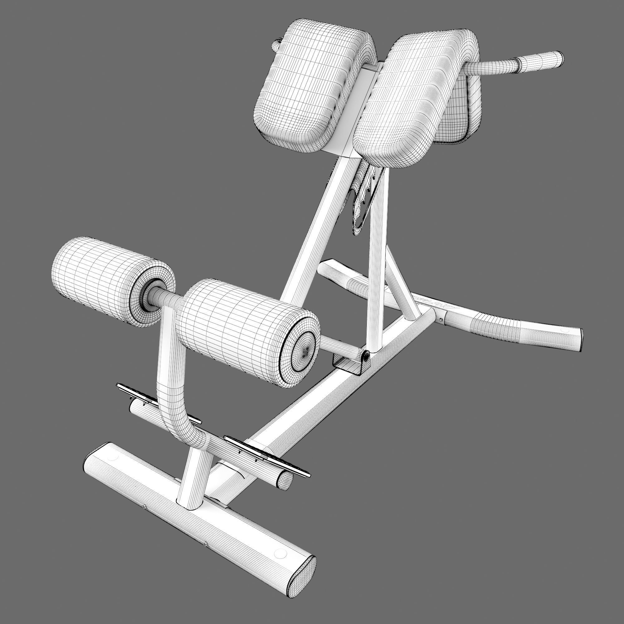 Lifefitness Signature Series Back Extension 3D model_4