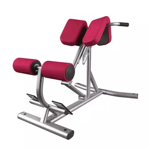 Lifefitness Signature Series Back Extension 3D model