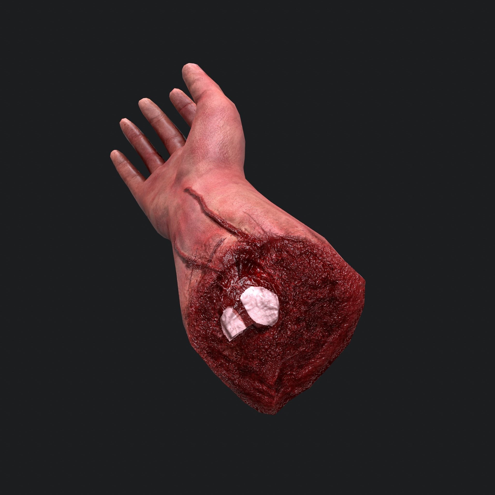 Severed Body Parts Pack 3D Model Collection_35