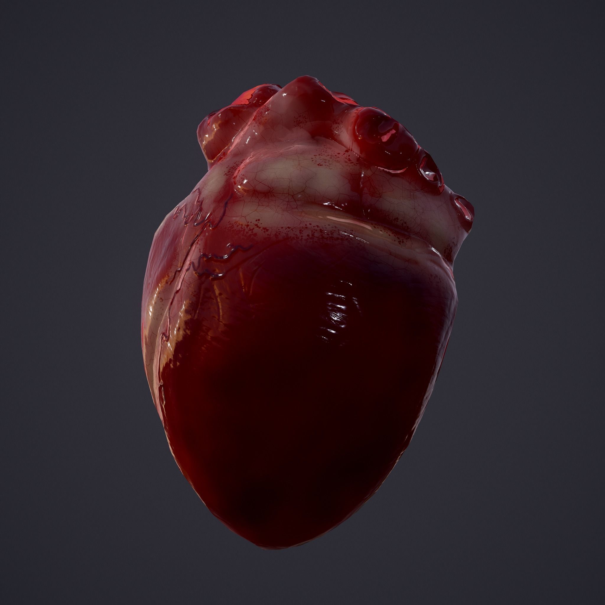 Severed Body Parts Pack 3D Model Collection_46