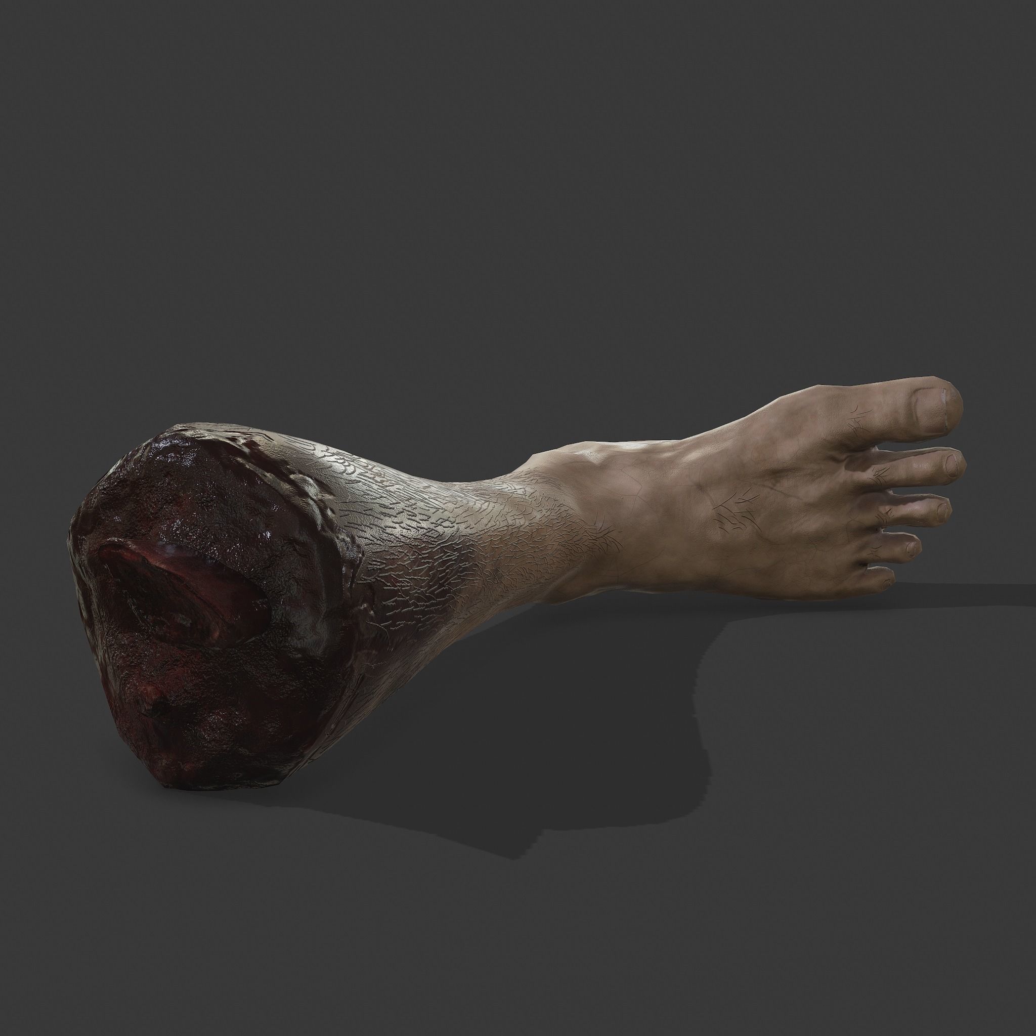 Severed Body Parts Pack 3D Model Collection_19