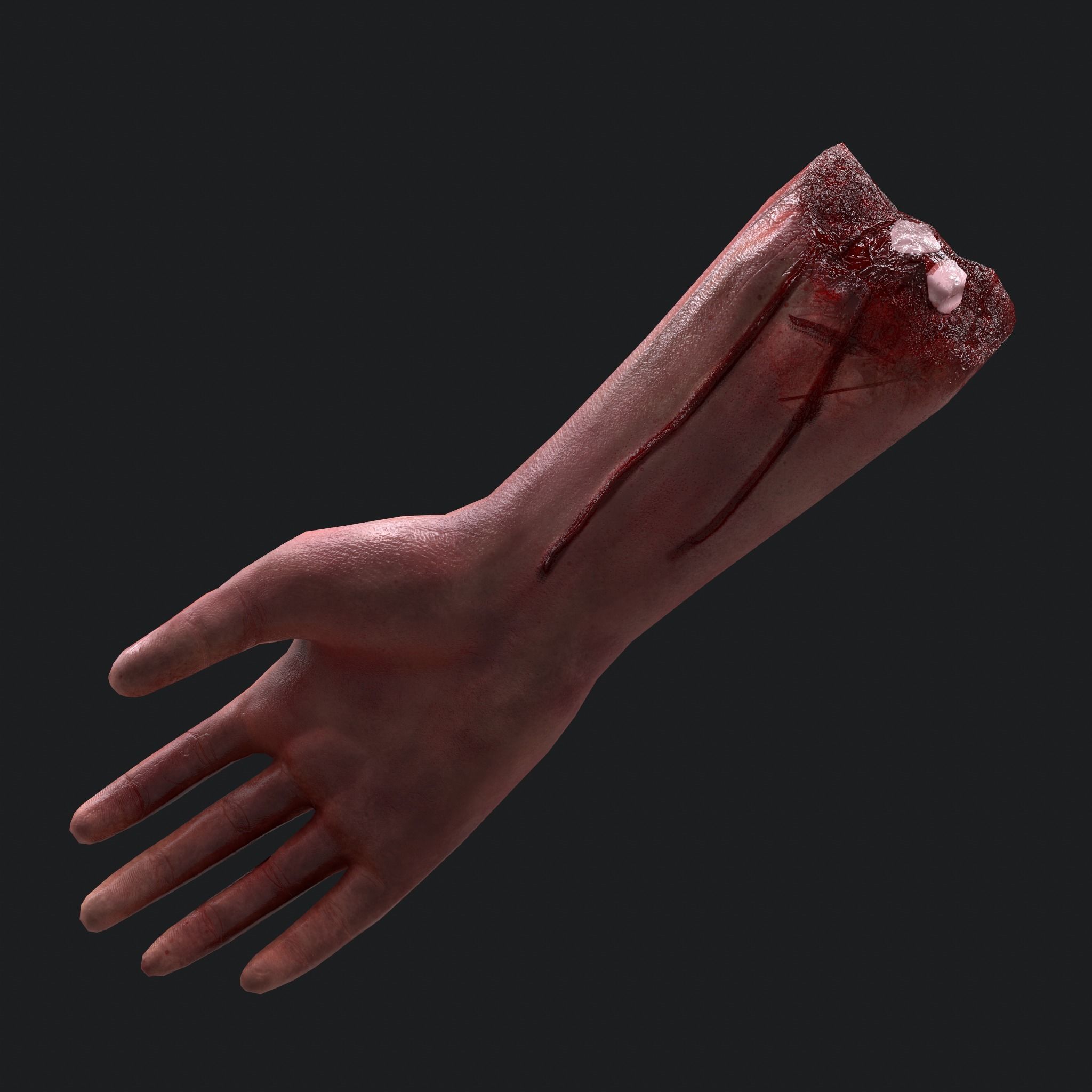 Severed Body Parts Pack 3D Model Collection_40