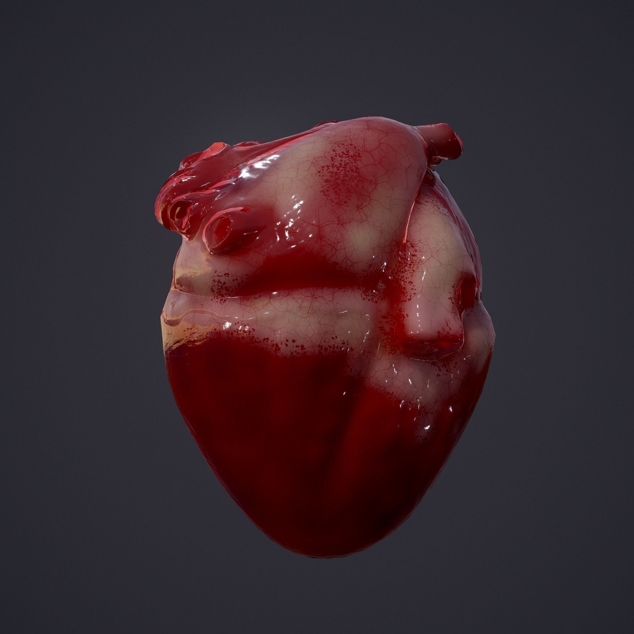 Severed Body Parts Pack 3D Model Collection_45