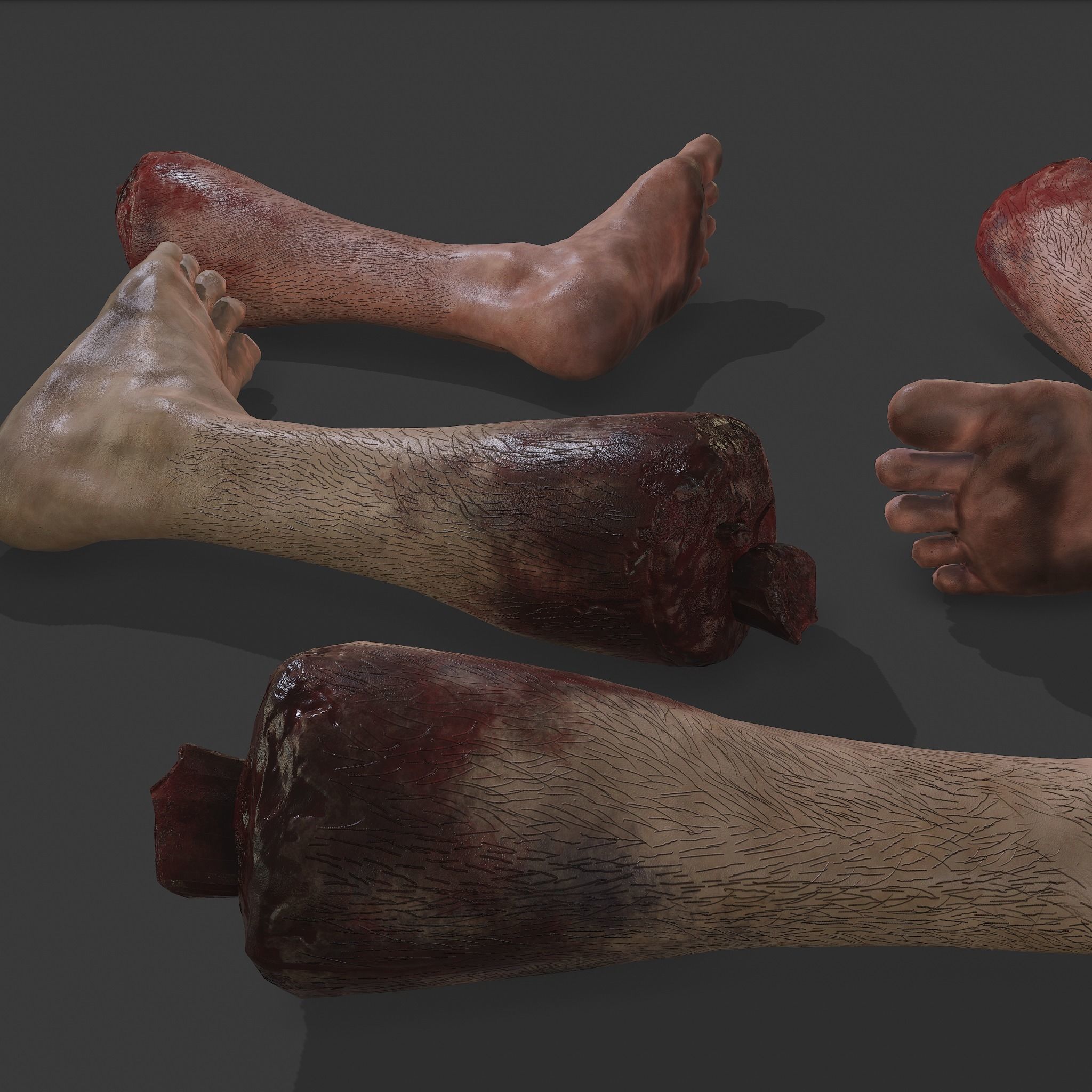 Severed Body Parts Pack 3D Model Collection_22
