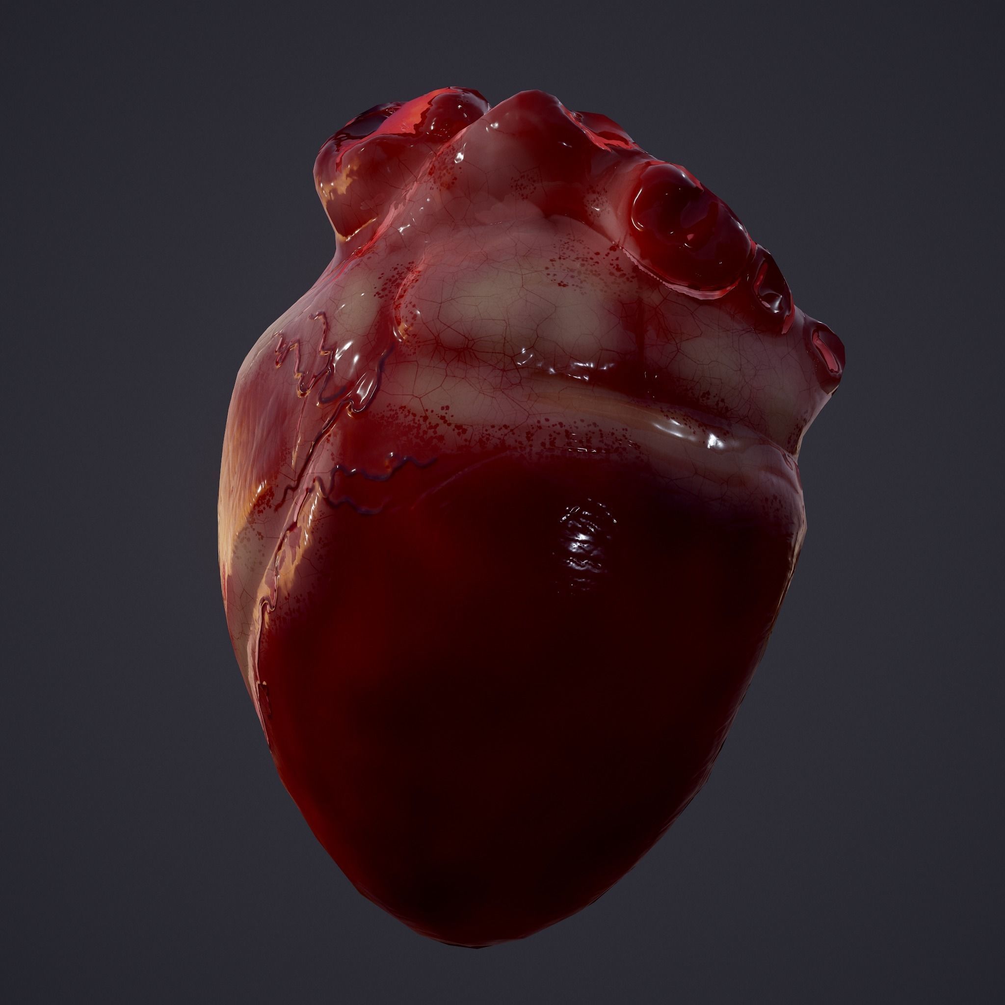 Severed Body Parts Pack 3D Model Collection_47