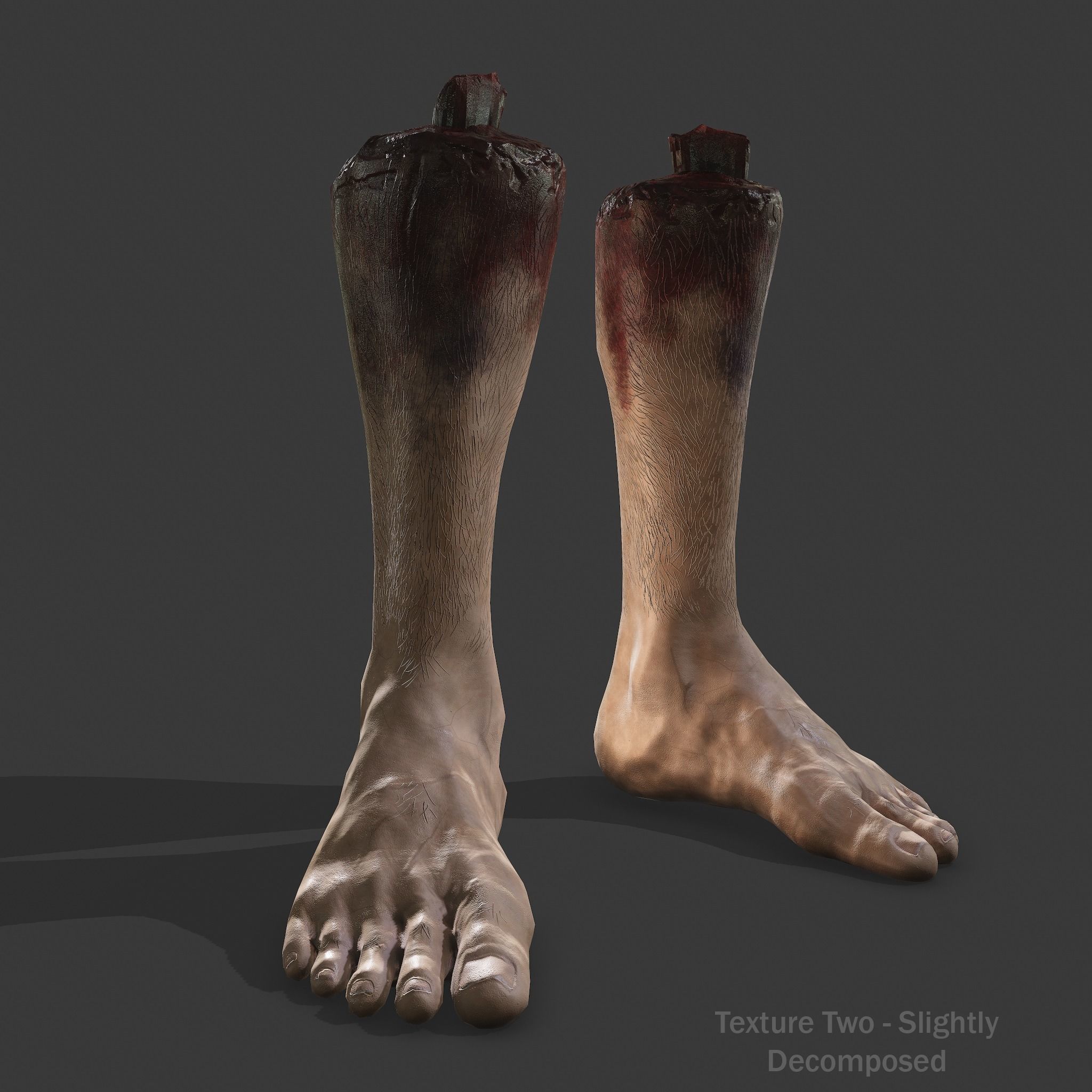 Severed Body Parts Pack 3D Model Collection_16