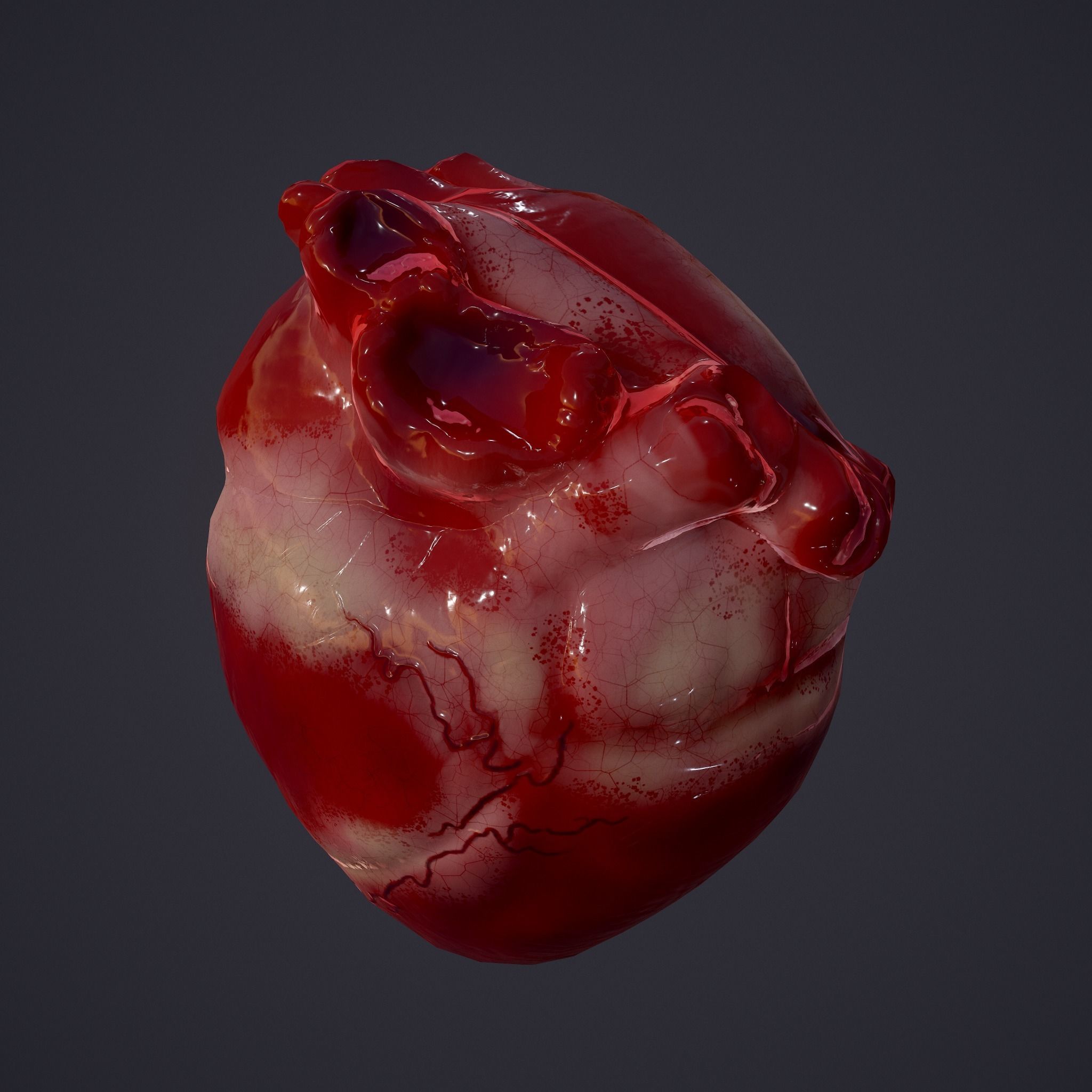 Severed Body Parts Pack 3D Model Collection_48
