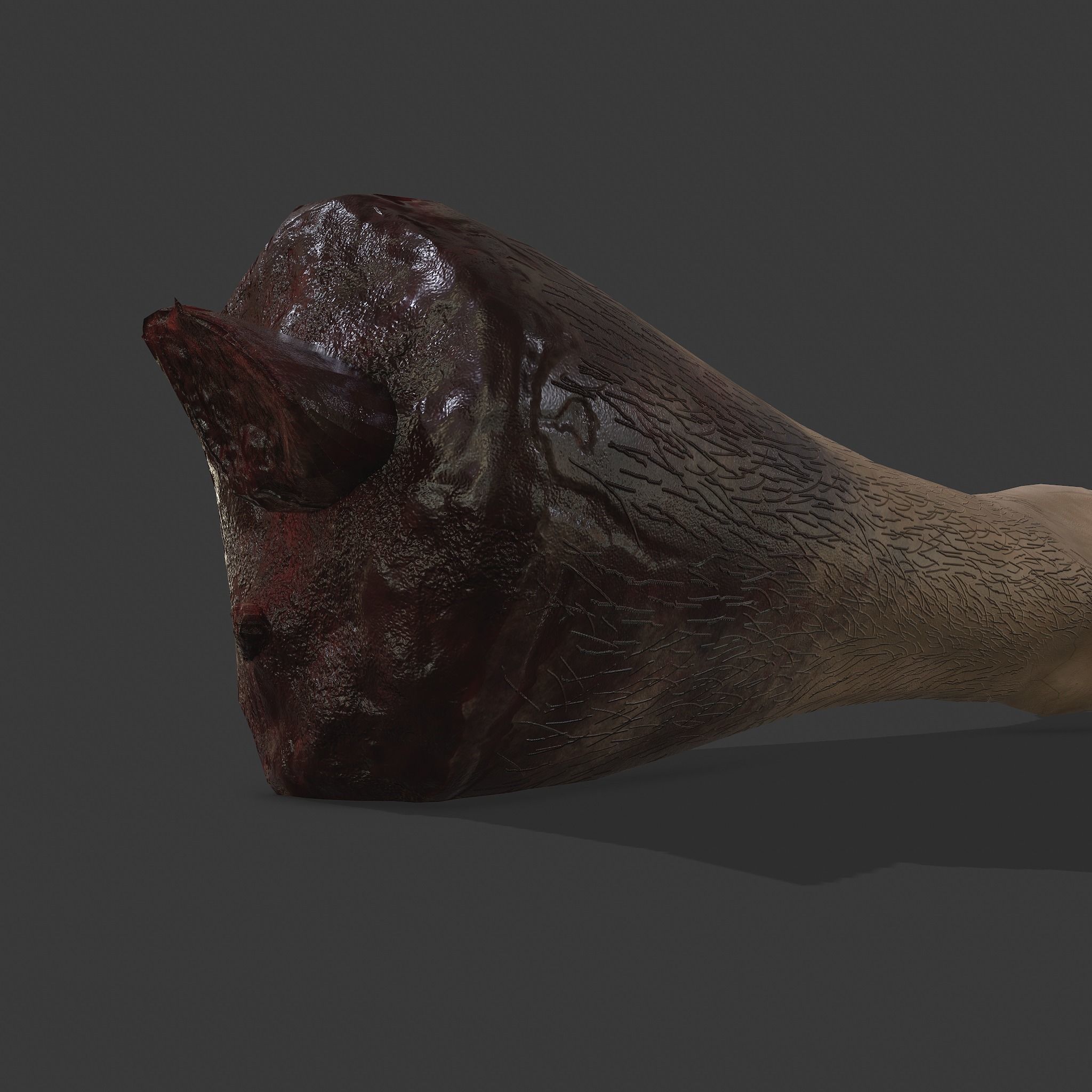 Severed Body Parts Pack 3D Model Collection_20