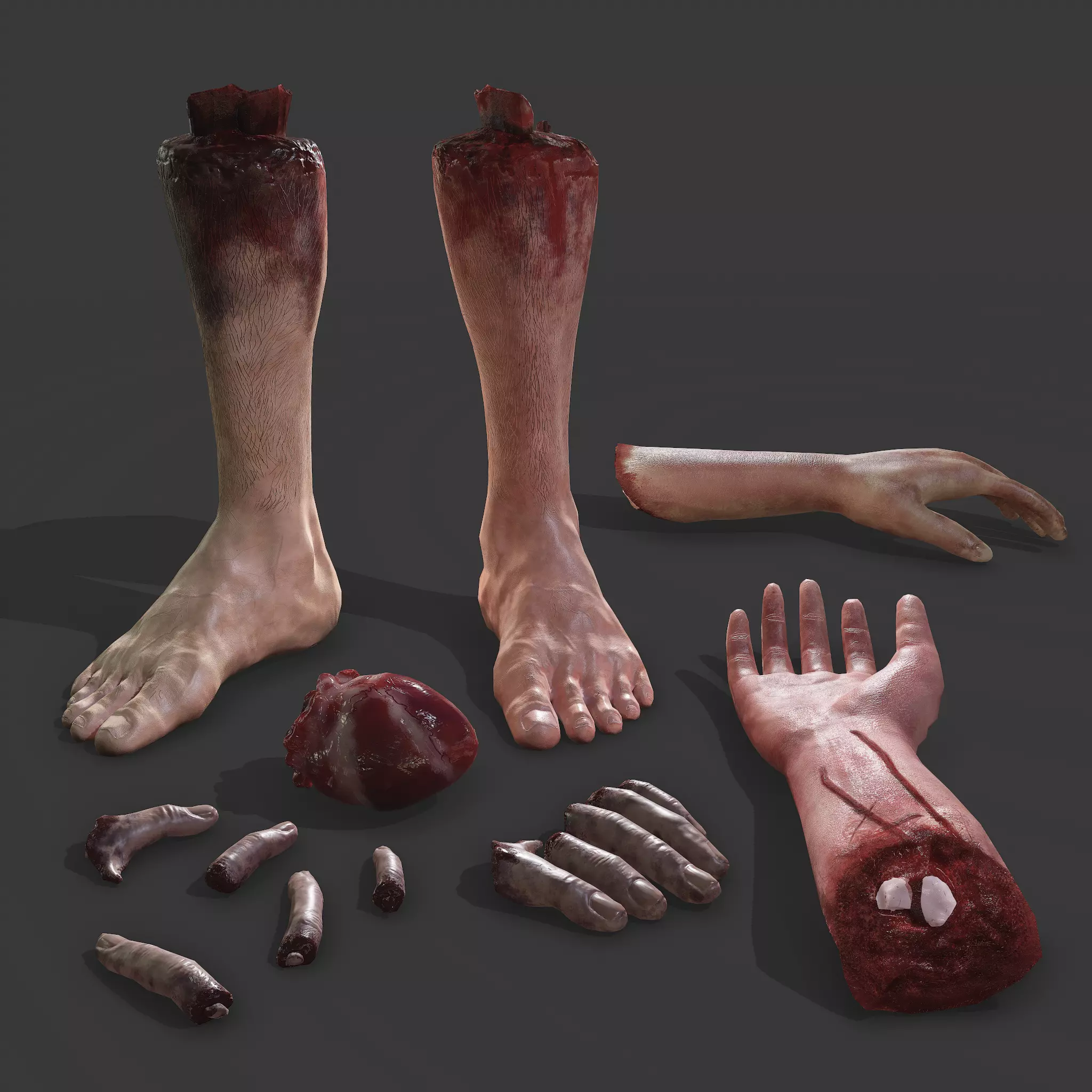 Severed Body Parts Pack 3D Model Collection_0