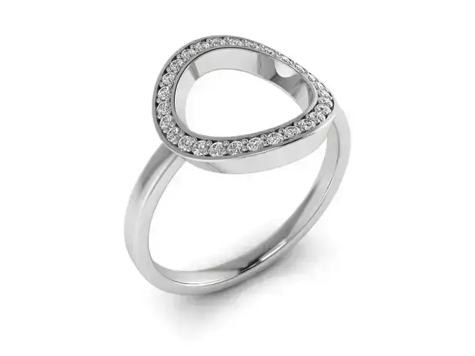Ring 102 3D print model