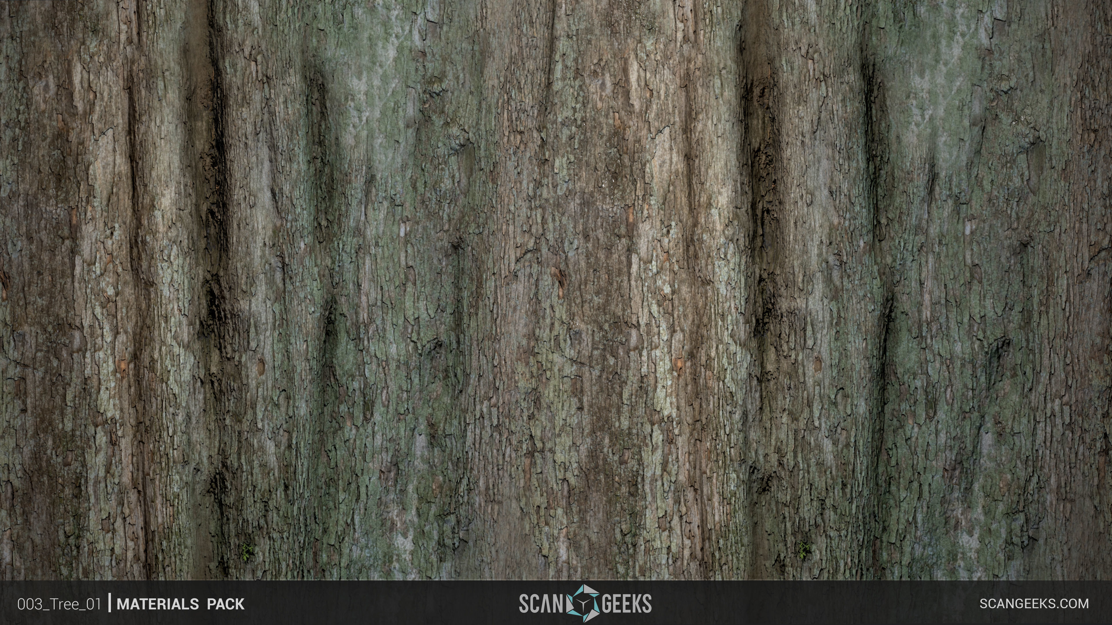 Tree Bark Material - Photogrammetry 3D PhotoScan Texture_1