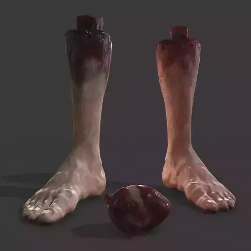 Severed Leg and Human Heart Pack 3D Model Collection